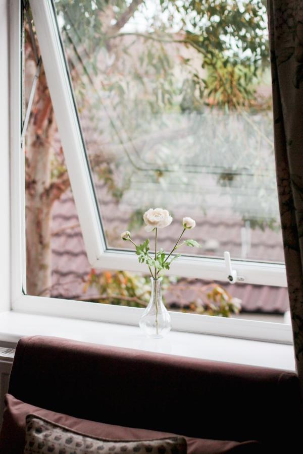 The Five Dials Inn 일민스터 외부 사진