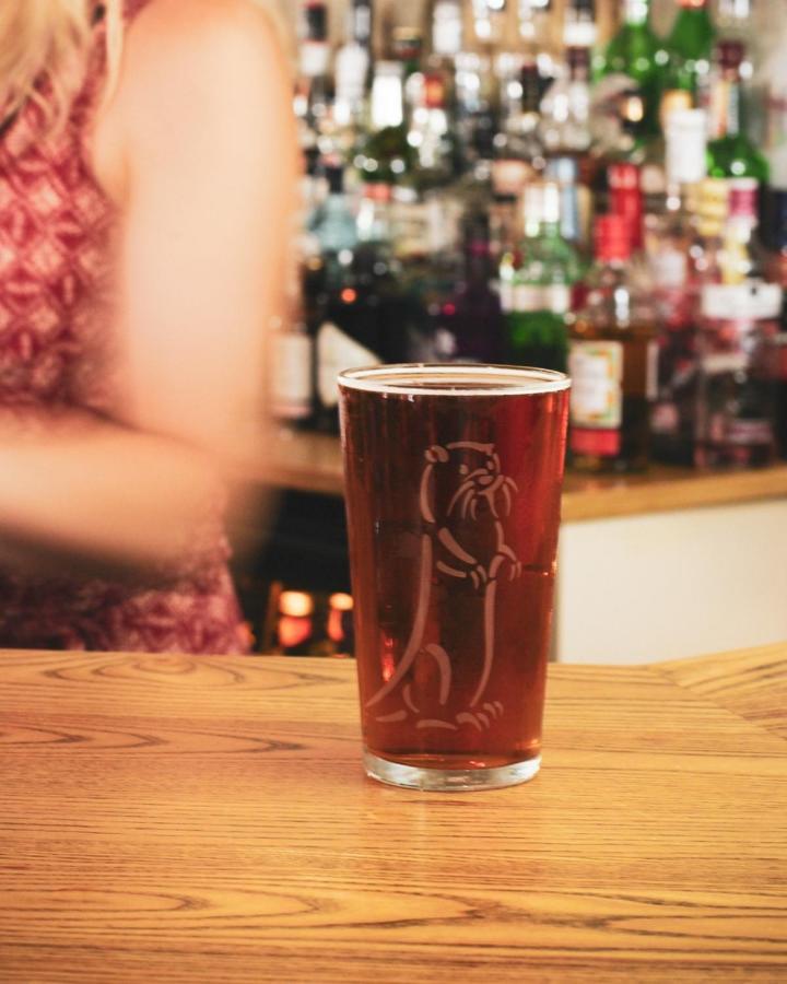 The Five Dials Inn 일민스터 외부 사진