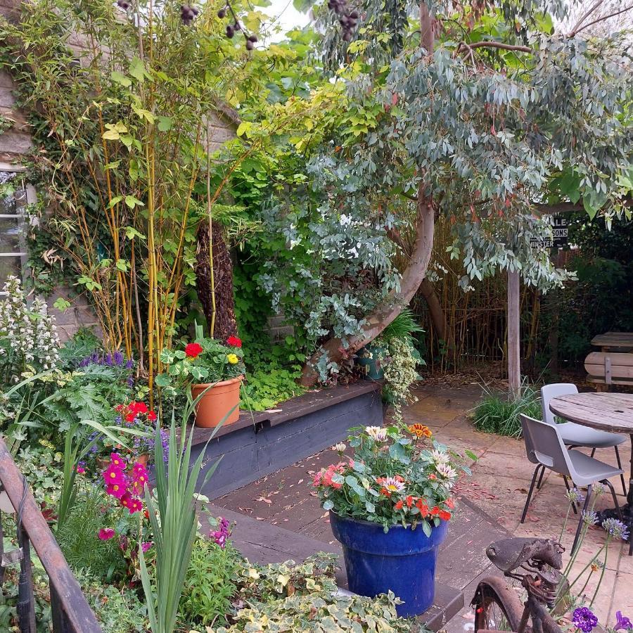 The Five Dials Inn 일민스터 외부 사진