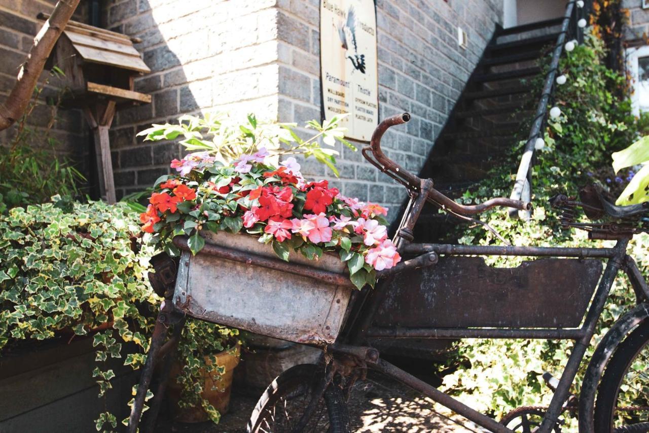 The Five Dials Inn 일민스터 외부 사진